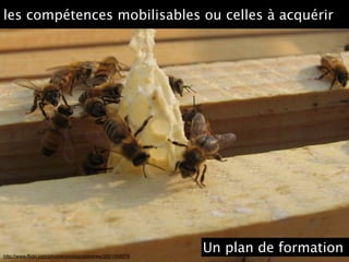 http://www.flickr.com/photos/unstoppabledrew/3561568976
les compétences mobilisables ou celles à acquérir
Un plan de formation
 
