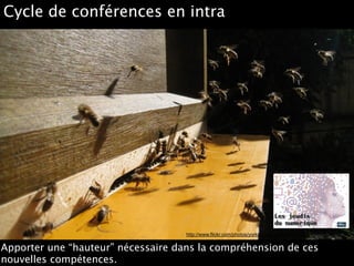 http://www.flickr.com/photos/yorkshirebees/5553051202
Cycle de conférences en intra
Apporter une “hauteur” nécessaire dans la compréhension de ces
nouvelles compétences.
 