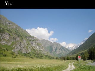 L’élu
Source : http://www.flickr.com/photos/dexcoffier/501347355
 