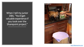 When I tell my junior
DBA, “You’d get
valuable experience if
you took over the
Sharepoint project.”
http://dbareactions.com
 