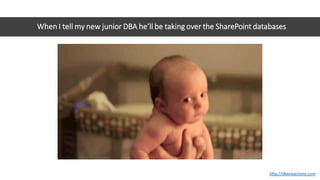 When I tell my new junior DBA he’ll be taking over the SharePoint databases
http://dbareactions.com
 