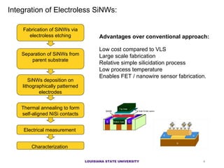 Integration of Electroless SiNWs: Fabrication of SiNWs via electroless etching SiNWs deposition on lithographically patterned electrodes Thermal annealing to form self-aligned NiSi contacts Electrical measurement  Advantages over conventional approach: Low cost compared to VLS L arge scale fabrication R elative simple silicidation process Low  process  temperatu re  Enables FET / nanowire sensor fabrication.  Characterization  Separation  of  SiNWs  from parent substrate LOUISIANA STATE UNIVERSITY 