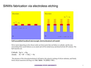 SiNW s fabrication via electroless etching Self-assembled localized microscopic electrochemical cell model  Silver atoms depositing on the silicon wafer can form nuclei that can behave as cathode, and the area surrounding these nuclei behaves as an anode and will be etched away and dissolved into HF solution. The half reactions are: Cathode:  Ag+e -  ->Ag  Anode:  Si + 6F -  -> SiF 6 2-  + 4e - The presence of the microelectrochemcal cell leads to the selective etching of silicon substrate, and finally forms silicon nanowires (K.Peng et al  Adv. Mater. 14 (2002) 1164. ) . LOUISIANA STATE UNIVERSITY 