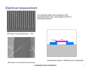 E lectrical measurement SEM  images of Inter-digited electrodes  （ IDE ） SEM image of one single SiNW across electrode The fabricated SiNWs were deposited on IDE electroplated with nickel, and annealed at 450°C in reducing atmosphere. Cross-section sketch of  SiNWs across the electrodes  LOUISIANA STATE UNIVERSITY 