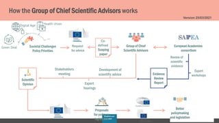 Research and
Innovation
Societal Challenges
Policy Priorities
Group of Chief
Scientific Advisors
Co-
defined
Scoping
paper...