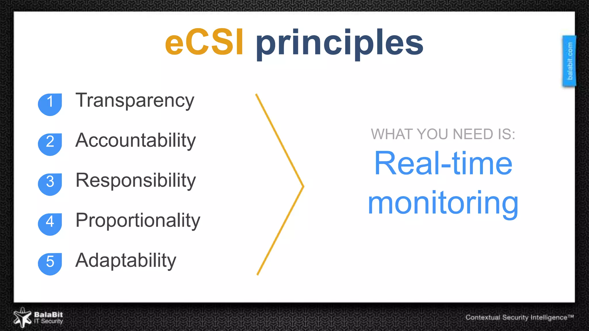 eCSI principles 
1 Transparency 
2 Accountability 
3 Responsibility 
4 Proportionality 
5 Adaptability 
WHAT YOU NEED IS: 
Real-time 
monitoring 
 