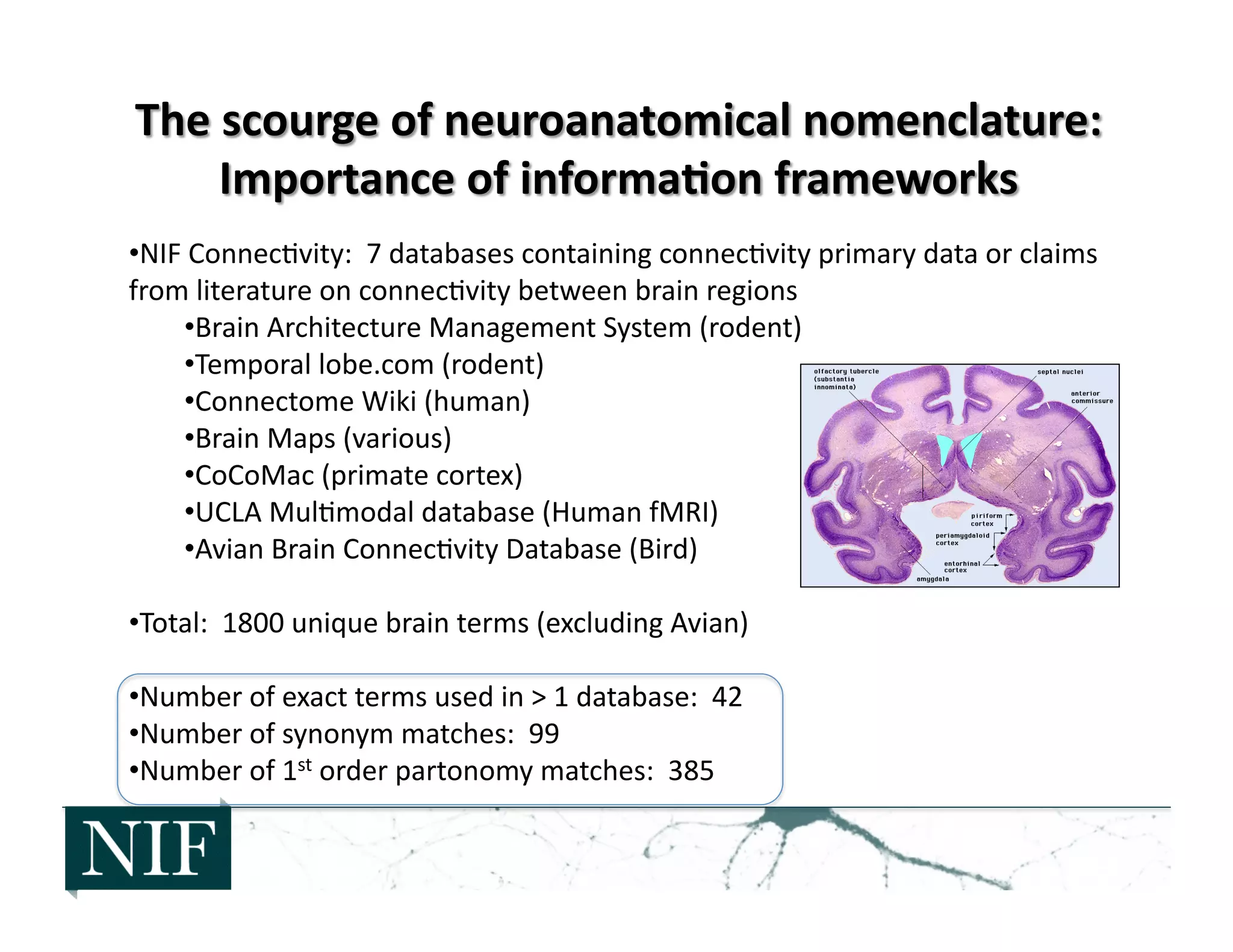 • NIF	
  Connec>vity:	
  	
  7	
  databases	
  containing	
  connec>vity	
  primary	
  data	
  or	
  claims	
  
from	
  literature	
  on	
  connec>vity	
  between	
  brain	
  regions	
  
• Brain	
  Architecture	
  Management	
  System	
  (rodent)	
  
• Temporal	
  lobe.com	
  (rodent)	
  
• Connectome	
  Wiki	
  (human)	
  
• Brain	
  Maps	
  (various)	
  
• CoCoMac	
  (primate	
  cortex)	
  
• UCLA	
  Mul>modal	
  database	
  (Human	
  fMRI)	
  
• Avian	
  Brain	
  Connec>vity	
  Database	
  (Bird)	
  
• Total:	
  	
  1800	
  unique	
  brain	
  terms	
  (excluding	
  Avian)	
  
• Number	
  of	
  exact	
  terms	
  used	
  in	
  >	
  1	
  database:	
  	
  42	
  
• Number	
  of	
  synonym	
  matches:	
  	
  99	
  
• Number	
  of	
  1st	
  order	
  partonomy	
  matches:	
  	
  385	
  
 