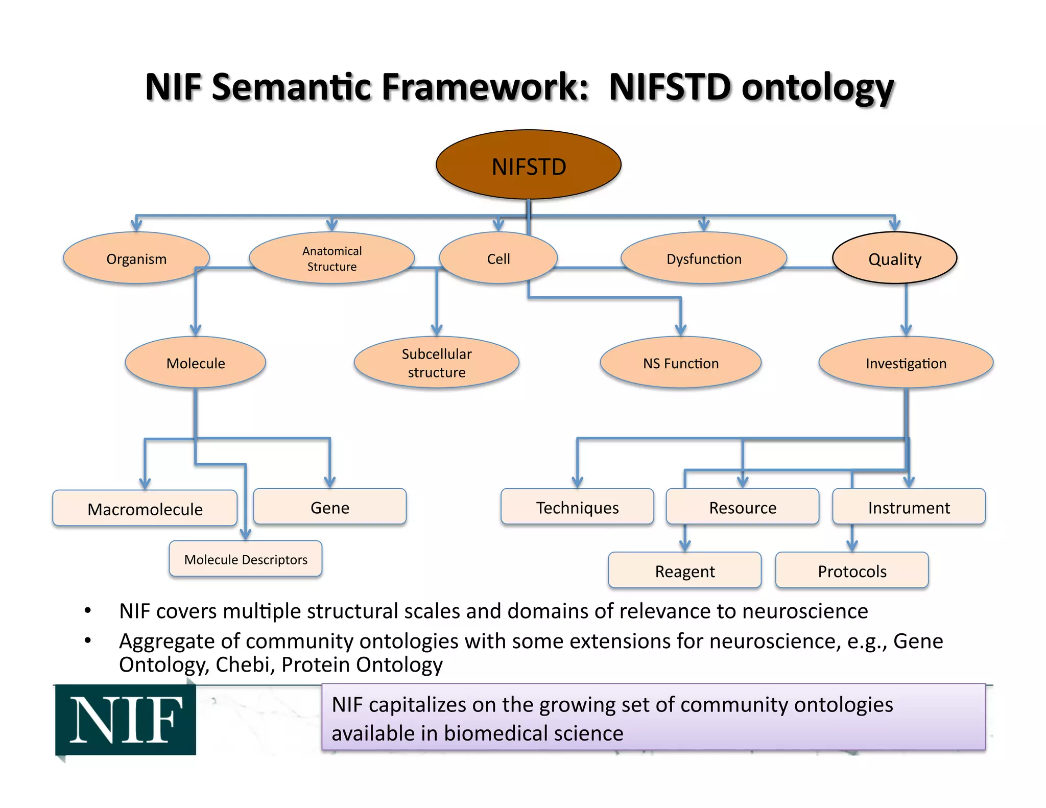 •  NIF	
  covers	
  mul>ple	
  structural	
  scales	
  and	
  domains	
  of	
  relevance	
  to	
  neuroscience	
  
•  Aggregate	
  of	
  community	
  ontologies	
  with	
  some	
  extensions	
  for	
  neuroscience,	
  e.g.,	
  Gene	
  
Ontology,	
  Chebi,	
  Protein	
  Ontology	
  
NIFSTD	
  
Organism	
  
NS	
  Func>on	
  Molecule	
   Inves>ga>on	
  
Subcellular	
  
structure	
  
Macromolecule	
   Gene	
  
Molecule	
  Descriptors	
  
Techniques	
  
Reagent	
   Protocols	
  
Cell	
  
Resource	
   Instrument	
  
Dysfunc>on	
   Quality	
  
Anatomical	
  
Structure	
  
NIF	
  capitalizes	
  on	
  the	
  growing	
  set	
  of	
  community	
  ontologies	
  
available	
  in	
  biomedical	
  science	
  
 