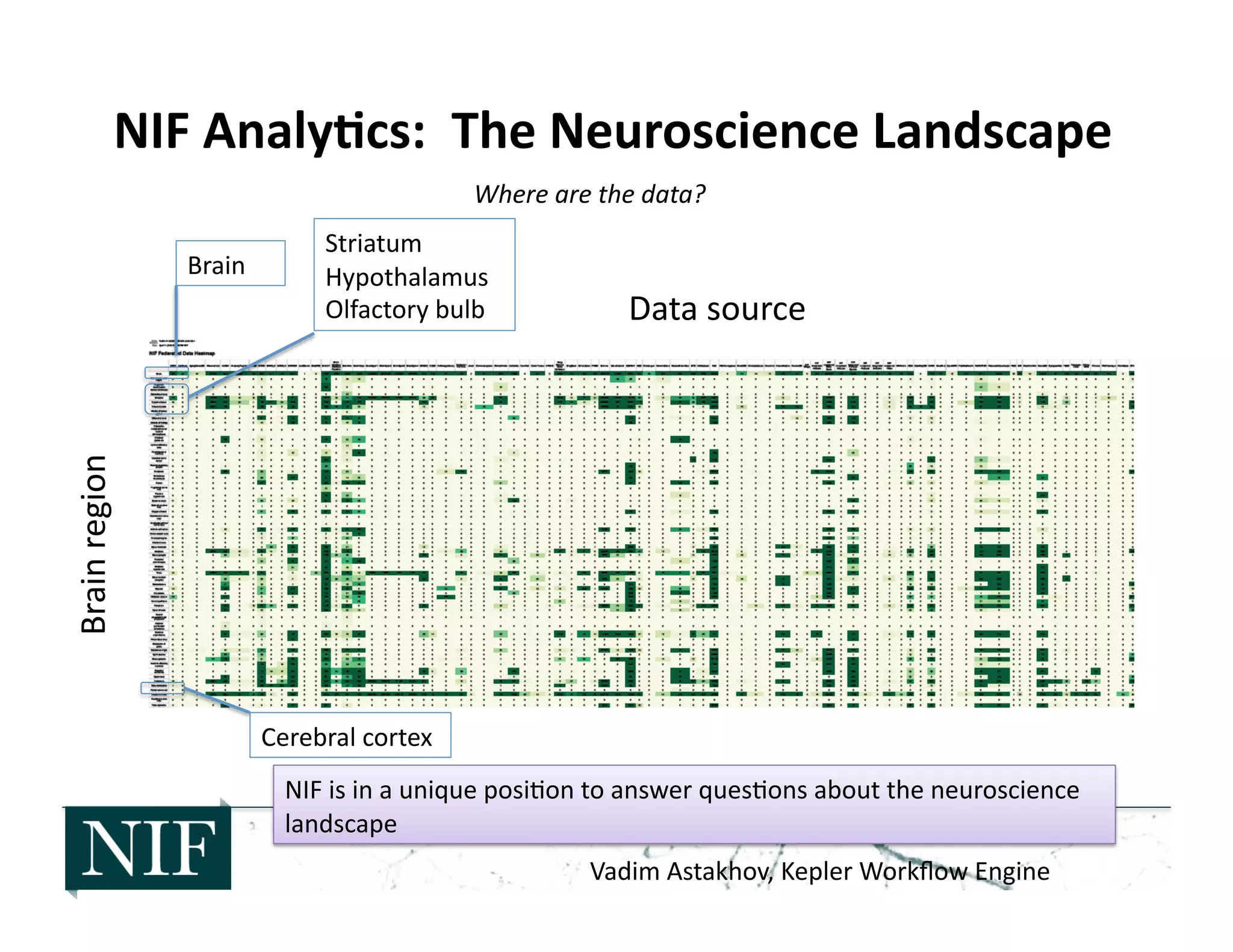 NIF	
  Analy6cs:	
  	
  The	
  Neuroscience	
  Landscape	
  
NIF	
  is	
  in	
  a	
  unique	
  posi>on	
  to	
  answer	
  ques>ons	
  about	
  the	
  neuroscience	
  
landscape	
  
Where	
  are	
  the	
  data?	
  
Striatum	
  
Hypothalamus	
  
Olfactory	
  bulb	
  
Cerebral	
  cortex	
  
Brain	
  
Brain	
  region	
  
Data	
  source	
  
Vadim	
  Astakhov,	
  Kepler	
  Workﬂow	
  Engine	
  
 