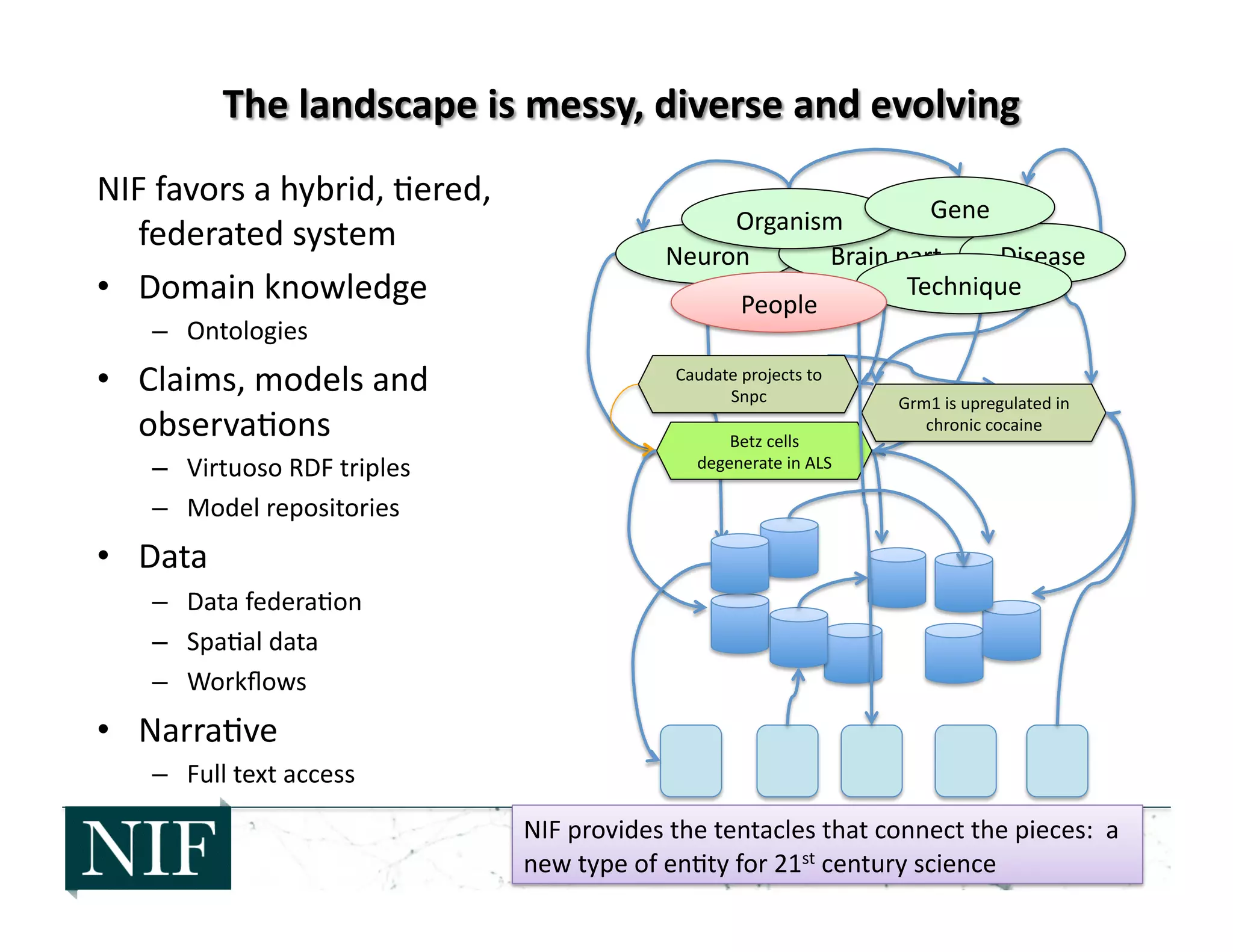 NIF	
  favors	
  a	
  hybrid,	
  >ered,	
  
federated	
  system	
  
•  Domain	
  knowledge	
  
–  Ontologies	
  
•  Claims,	
  models	
  and	
  
observa>ons	
  
–  Virtuoso	
  RDF	
  triples	
  	
  
–  Model	
  repositories	
  
•  Data	
  
–  Data	
  federa>on	
  
–  Spa>al	
  data	
  
–  Workﬂows	
  
•  Narra>ve	
  
–  Full	
  text	
  access	
  
Neuron	
   Brain	
  part	
   Disease	
  
Organism	
   Gene	
  
Caudate	
  projects	
  to	
  
Snpc	
   Grm1	
  is	
  upregulated	
  in	
  
chronic	
  cocaine	
  
Betz	
  cells	
  
degenerate	
  in	
  ALS	
  
NIF	
  provides	
  the	
  tentacles	
  that	
  connect	
  the	
  pieces:	
  	
  a	
  
new	
  type	
  of	
  en>ty	
  for	
  21st	
  century	
  science	
  
Technique	
  
People	
  
 