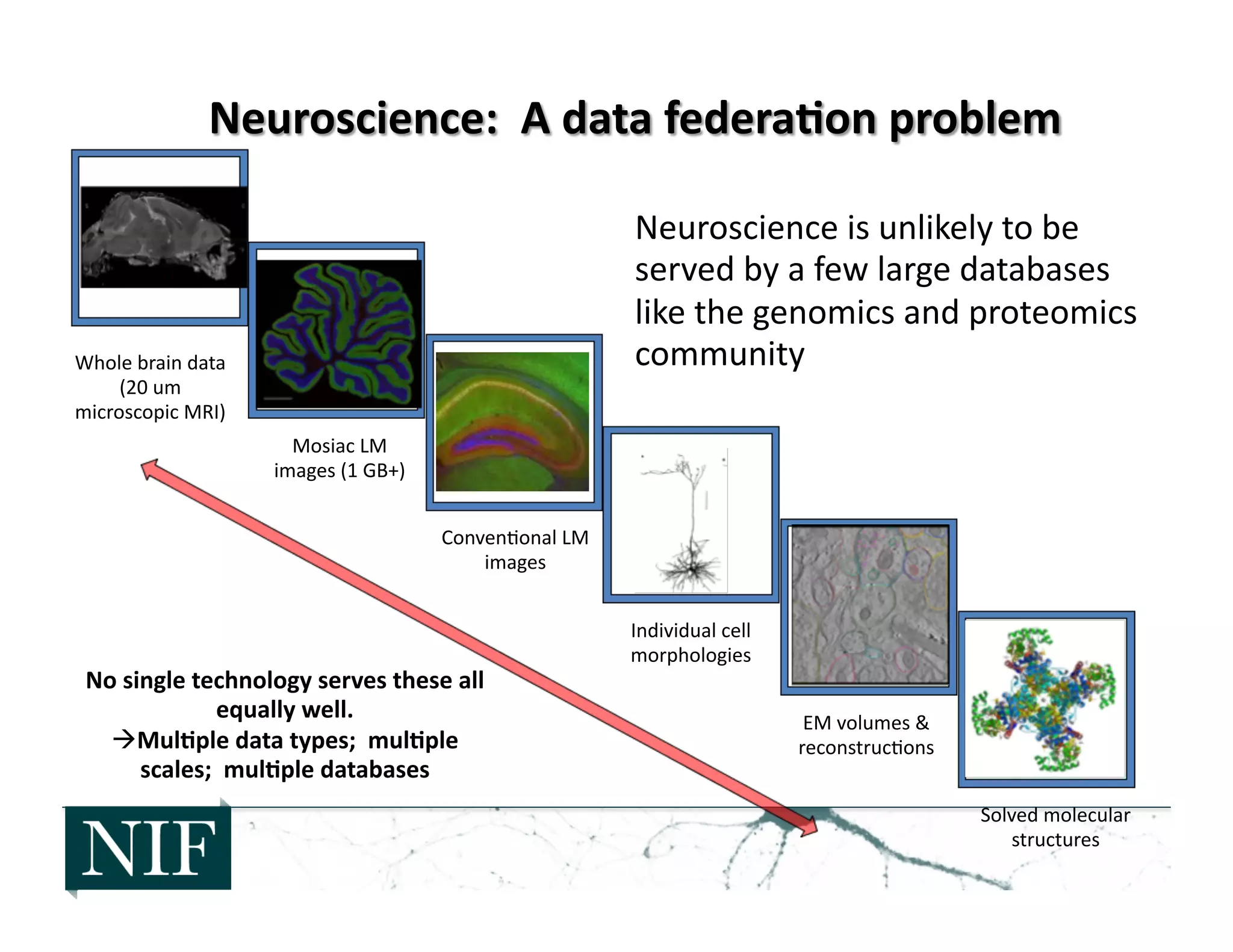 Neuroscience	
  is	
  unlikely	
  to	
  be	
  
served	
  by	
  a	
  few	
  large	
  databases	
  
like	
  the	
  genomics	
  and	
  proteomics	
  
community	
  Whole	
  brain	
  data	
  
(20	
  um	
  
microscopic	
  MRI)	
  
Mosiac	
  LM	
  
images	
  (1	
  GB+)	
  
Conven>onal	
  LM	
  
images	
  
Individual	
  cell	
  
morphologies	
  
EM	
  volumes	
  &	
  
reconstruc>ons	
  
Solved	
  molecular	
  
structures	
  
No	
  single	
  technology	
  serves	
  these	
  all	
  
equally	
  well.	
  
 Mul6ple	
  data	
  types;	
  	
  mul6ple	
  
scales;	
  	
  mul6ple	
  databases	
  
 