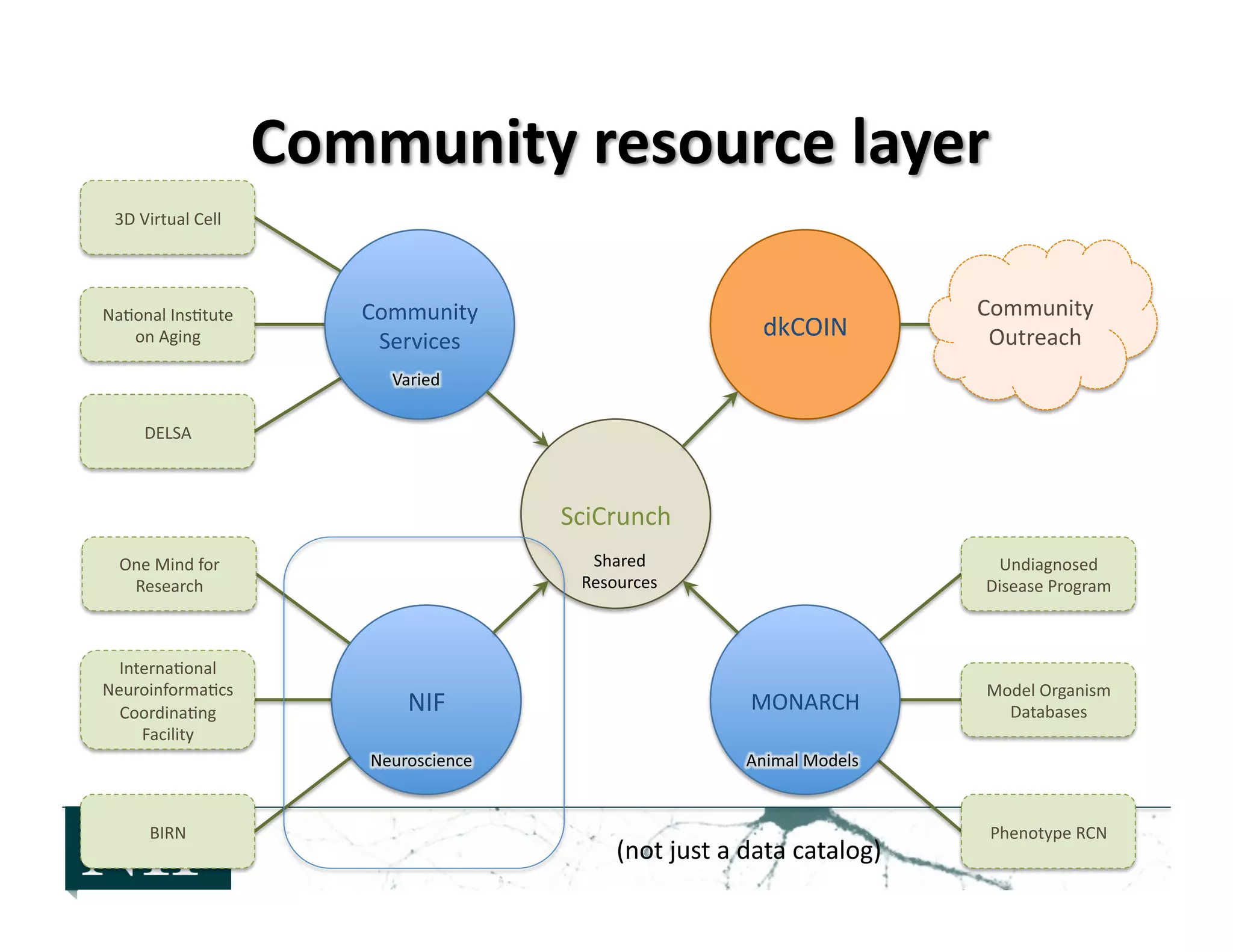 June10,	
  2013	
   42	
  
SciCrunch	
  
NIF	
   MONARCH	
  
Community	
  
Services	
  
dkCOIN	
  
Shared	
  
Resources	
  
Undiagnosed	
  
Disease	
  Program	
  
Phenotype	
  RCN	
  
3D	
  Virtual	
  Cell	
  
Na>onal	
  Ins>tute	
  
on	
  Aging	
  
One	
  Mind	
  for	
  
Research	
  
BIRN	
  
Interna>onal	
  
Neuroinforma>cs	
  
Coordina>ng	
  
Facility	
  
Model	
  Organism	
  
Databases	
  
Community	
  
Outreach	
  
DELSA	
  
(not	
  just	
  a	
  data	
  catalog)	
  
 