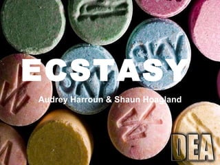 ECSTASY   Audrey Harroun & Shaun Hoagland 