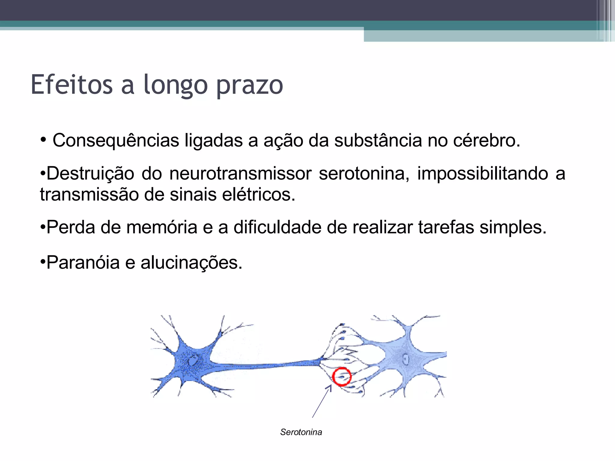 Efeitos a longo prazo Consequências ligadas a ação da substância no cérebro. Destruição do neurotransmissor serotonina, impossibilitando a transmissão de sinais elétricos. Perda de memória e a dificuldade de realizar tarefas simples. Paranóia e alucinações.   Serotonina 