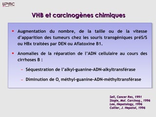 VHB et carcinogènes chimiquesVHB et carcinogènes chimiques
• Augmentation du nombre, de la taille ou de la vitesse
d’apparition des tumeurs chez les souris transgéniques préS/S
ou HBx traitées par DEN ou Aflatoxine B1.
• Anomalies de la réparation de l’ADN cellulaire au cours des
cirrhoses B :
– Séquestration de l’alkyl-guanine-ADN-alkyltransférase
– Diminution de O6 méthyl-guanine-ADN-méthyltransférase
Sell, Cancer Res, 1991Sell, Cancer Res, 1991
Slagle, Mol. Carcinog., 1996Slagle, Mol. Carcinog., 1996
Lee, Hepatology, 1996Lee, Hepatology, 1996
Collier, J. Hepatol, 1996Collier, J. Hepatol, 1996
 