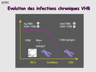 Evolution des infections chroniques VHBEvolution des infections chroniques VHB
 