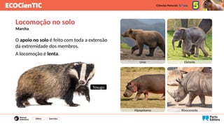 O apoio no solo é feito com toda a extensão
da extremidade dos membros.
A locomoção é lenta.
Vídeos Exercícios
Locomoção no solo
Marcha
Urso Elefante
Hipopótamo Rinoceronte
Texugo
 