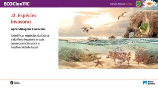 Aprendizagens Essenciais
Identificar espécies da fauna
e da flora invasora e suas
consequências para a
biodiversidade local.
J2. Espécies
invasoras
 