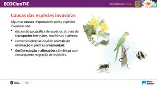 Causas das espécies invasoras
Algumas causas responsáveis pelas espécies
invasoras são:
 dispersão geográfica de espécies através de
transportes terrestres, marítimos e aéreos;
 comércio internacional de animais de
estimação e plantas ornamentais;
 desflorestação e alterações climáticas com
consequente migração de espécies.
Vídeo
 