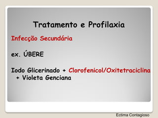 Tratamento e Profilaxia
Infecção Secundária

ex. ÚBERE

Iodo Glicerinado + Clorofenicol/Oxitetraciclina
 + Violeta Genciana




                                   Ectima Contagioso
 