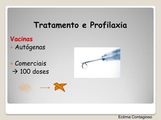Tratamento e Profilaxia
Vacinas
 Autógenas


Comerciais

 100 doses




                           Ectima Contagioso
 