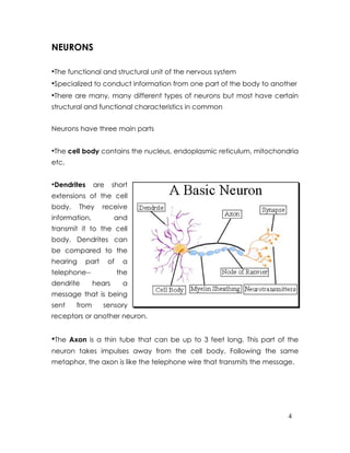 NEURONS

•The functional and structural unit of the nervous system
•Specialized to conduct information from one part of the body to another
•There are many, many different types of neurons but most have certain
structural and functional characteristics in common


Neurons have three main parts


•The cell body contains the nucleus, endoplasmic reticulum, mitochondria
etc.


•Dendrites are short
extensions of the cell
body.     They    receive
information,            and
transmit it to the cell
body. Dendrites can
be compared to the
hearing    part     of    a
telephone--              the
dendrite        hears     a
message that is being
sent     from      sensory
receptors or another neuron.


•The   Axon is a thin tube that can be up to 3 feet long. This part of the
neuron takes impulses away from the cell body. Following the same
metaphor, the axon is like the telephone wire that transmits the message.




                                                                       4
 