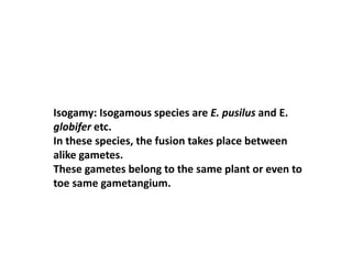 Isogamy: Isogamous species are E. pusilus and E.
globifer etc.
In these species, the fusion takes place between
alike gametes.
These gametes belong to the same plant or even to
toe same gametangium.
 