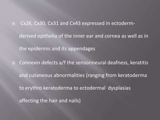  Cx26, Cx30, Cx31 and Cx43 expressed in ectoderm-
derived epithelia of the inner ear and cornea as well as in
the epidermis and its appendages
 Connexin defects a/f the sensorineural deafness, keratitis
and cutaneous abnormalities (ranging from keratoderma
to erythro keratoderma to ectodermal dysplasias
affecting the hair and nails)
 