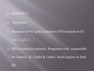  GENETICS :
 AD pattern
 Mutation of P 63 gene ( similar to P53) located on Ch
7q11.2-q21.3
 P63 is critical to maintain Progenitor cells responsible
for Genesis of Limbs & Cranio facial regions in fetal
life
 