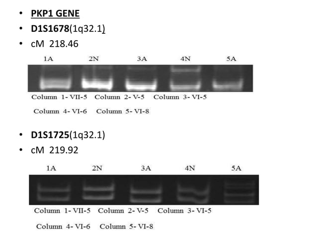 ECTODERMAL DYSPLASIAS | Genetic Disorder | PPTX | Skin and Dermatology ...