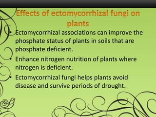 • Ectomycorrhizal associations can improve the
phosphate status of plants in soils that are
phosphate deficient.
• Enhance nitrogen nutrition of plants where
nitrogen is deficient.
• Ectomycorrhizal fungi helps plants avoid
disease and survive periods of drought.
 