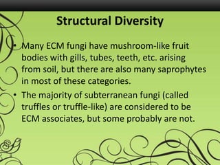 Structural Diversity
• Many ECM fungi have mushroom-like fruit
bodies with gills, tubes, teeth, etc. arising
from soil, but there are also many saprophytes
in most of these categories.
• The majority of subterranean fungi (called
truffles or truffle-like) are considered to be
ECM associates, but some probably are not.
 