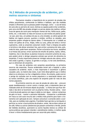 e-Tec Brasil/CEMF/UnimontesEctoparasitas e Animais Peçonhentos 103
16.2 Métodos de prevenção de acidentes, pri-
meiros socorros e sintomas
Precisamos ressaltar a importância de se prevenir de picadas dos
ofídios peçonhentos, conhecendo os hábitos e habitats, que são medidas
simples e eficientes que as pessoas podem empregar, como: - o uso de botas
de cano alto ou perneira de couro, botinas ou sapatos pode evitar acidentes,
pois cerca de 80% das picadas atingem as pernas abaixo dos joelhos; utilizar
luvas de aparas de couro para manipular montes de lixo, folhas secas, palha,
lenha, etc. e não botar as mãos em buracos ou sob montes de pedras (pode-
-se usar, para isso, um pedaço de pau ou uma enxada); as cobras gostam de
habitar em lugares escuros, quentes e úmidos; verificar os calçados, pois
serpentes podem refugiar-se dentro deles. É interessante ter o cuidado ao
mexer em palhas de arroz, feijão, milho ou cana, pilhas de lenha e revirar
cupinzeiros, onde as serpentes costumam residir. Fazer a limpeza de paióis
e terreiros e não deixar amontoar lixo, para evitar a presença de ratos, pois,
onde há ratos, pode haver serpentes. Fechar os buracos nos muros, assoalhos
e as frestas das portas; evitar acúmulo de entulho de pedras, tijolos, telhas,
madeiras, lixo e não deixar as plantas invasoras crescerem próximo da casa,
pois podem atrair e abrigar pequenos animais que servem de alimentos às
serpentes. É muito importante preservar inimigos naturais das cobras, entre
eles estão o gambá, a raposa, os gaviões e corujas, e criar aves domésticas,
que se alimentam de serpentes.
Em caso de acidentes com serpentes peçonhentas, os primeiros
socorros são essenciais. Poucos acidentados levam até o hospital a cobra
causadora do acidente. Assim, o mais importante é reconhecer o gênero
causador, pois, na maioria das vezes, é por meio desse gênero que o médico
observa os sintomas e se faz o diagnóstico clínico. No entanto, pode ocorrer
o perigo de confusão com os nomes populares e a associação destes com
os nomes científicos, pois uma espécie de serpente pode ter mais de dois
nomes populares.
Os primeiros socorros em caso de picada de cobra são: - procurar
ajuda imediatamente e correr contra o tempo, pois o tratamento deve ser
realizado antes de 30 minutos depois da picada; - a vítima tem que ficar dei-
tada e não deve se locomover com os próprios meios, ficando calma; - lavar
o local da picada apenas com água e sabão ou com água; - colocar compressa
de gelo no local; - manter o paciente hidratado; - transportar o acidentado
em maca ou com outro recurso até o médico mais próximo para fazer o tra-
tamento com aplicação do soro. Sempre comunicar o comando sobre o ocor-
rido, para as medidas mais urgentes. É proibido fazer garrote ou torniquete e
perfurar ou cortar o local próximo da picada e, ainda, não se deve colocar pó
de café, folhas ou outras substâncias que possam contaminar a ferida; jamais
dar bebidas alcoólicas, querosene ou outros líquidos tóxicos ou utilizar de
outras práticas que possam retardar o atendimento médico. A melhor ajuda
é levar a vítima imediatamente para ser socorrido pelo médico.
 