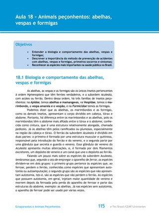 e-Tec Brasil/CEMF/UnimontesEctoparasitas e Animais Peçonhentos
AULA 1
Alfabetização Digital
115
Aula 18 – Animais peçonhentos: abelhas,
vespas e formigas
Objetivos
•	 Entender a biologia e comportamento das abelhas, vespas e
formigas;
•	 Descrever a importância do método de prevenção de acidentes
com abelhas, vespas e formigas, primeiros socorros e sintomas;
•	 Reconhecer as espécies mais importantes na saúde pública no Brasil.
18.1 Biologia e comportamento das abelhas,
vespas e formigas
As abelhas, as vespas e as formigas são os únicos insetos pertencentes
à ordem Hymenoptera que têm ferrões verdadeiros, e a subordem Aculeata,
com acúleo ou ferrão. Dentro dessa ordem, há três famílias de insetos peço-
nhentos: na Apidae, temos abelhas e mamangavas, na Vespidae, temos o ma-
rimbondo, a vespa amarela e o vespão, e na Formicidae temos as formigas.
Podemos dizer que as abelhas, os marimbondos e as formigas,
como os demais insetos, apresentam o corpo dividido em cabeça, tórax e
abdome. Portanto, há diferença entre os marimbondos e as abelhas, pois os
marimbondos têm o abdome mais afilado entre o tórax e o abdome, conhe-
cida como cintura, que é uma estrutura relativamente alongada, chamada
pedicelo. Já as abelhas têm pelos ramificados ou plumosos, especialmente
na região da cabeça e tórax. O ferrão da subordem Aculeata é dividido em
duas partes: a primeira é formada por uma estrutura muscular e quitinosa,
responsável pela introdução do ferrão e do veneno, e a segunda parte por
uma glândula que secreta e guarda o veneno. Essa glândula de veneno do
Aculeata apresenta muitas altercações, e, é formada por dois filamentos
excretores, um depósito de veneno e um canal que une o depósito ao ferrão.
Falando um pouco mais sobre as espécies da subordem Aculeata,
lembramos que, segundo o ato de empregar o aparelho de ferrar, as espécies
dividem-se em dois grupos: o primeiro grupo pertence às espécies que, ao
ferroar, perdem o ferrão, conhecidas como espécies que apresentam auto-
tomia ou autoamputação; o segundo grupo são as espécies que não apresen-
tam autotomia, isto é, são as espécies que não perdem o ferrão. As espécies
que possuem autotomia, em geral, injetam maior quantidade de veneno e
morrem depois da ferroada pela perda do aparelho de ferroar e parte das
estruturas do abdome, exemplo: as abelhas. Já nas espécies sem autotomia,
o aparelho de ferroar pode ser usado por várias vezes.
 