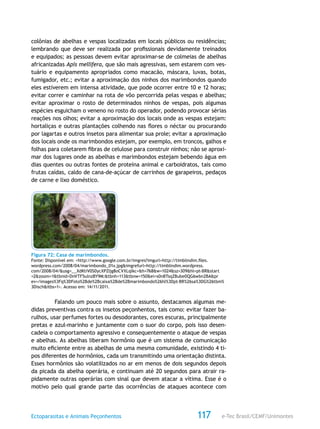 e-Tec Brasil/CEMF/UnimontesEctoparasitas e Animais Peçonhentos 117
colônias de abelhas e vespas localizadas em locais públicos ou residências;
lembrando que deve ser realizada por profissionais devidamente treinados
e equipados; as pessoas devem evitar aproximar-se de colmeias de abelhas
africanizadas Apis mellifera, que são mais agressivas, sem estarem com ves-
tuário e equipamento apropriados como macacão, máscara, luvas, botas,
fumigador, etc.; evitar a aproximação dos ninhos dos marimbondos quando
eles estiverem em intensa atividade, que pode ocorrer entre 10 e 12 horas;
evitar correr e caminhar na rota de vôo percorrida pelas vespas e abelhas;
evitar aproximar o rosto de determinados ninhos de vespas, pois algumas
espécies esguicham o veneno no rosto do operador, podendo provocar sérias
reações nos olhos; evitar a aproximação dos locais onde as vespas estejam:
hortaliças e outras plantações colhendo nas flores o néctar ou procurando
por lagartas e outros insetos para alimentar sua prole; evitar a aproximação
dos locais onde os marimbondos estejam, por exemplo, em troncos, galhos e
folhas para coletarem fibras de celulose para construir ninhos; não se aproxi-
mar dos lugares onde as abelhas e marimbondos estejam bebendo água em
dias quentes ou outras fontes de proteína animal e carboidratos, tais como
frutas caídas, caldo de cana-de-açúcar de carrinhos de garapeiros, pedaços
de carne e lixo doméstico.
Figura 72: Casa de marimbondos.
Fonte: Disponível em: <http://www.google.com.br/imgres?imgurl=http://timblindim.files.
wordpress.com/2008/04/marimbondo_01x.jpg&imgrefurl=http://timblindim.wordpress.
com/2008/04/&usg=__XdKtiV0S0ycXPZIjg8oCVXLqlkc=&h=768&w=1024&sz=309&hl=pt-BR&start
=2&zoom=1&tbnid=DnVTF5ulnzBY9M:&tbnh=113&tbnw=150&ei=s0nBTsqZBube0QG6wbn2BA&pr
ev=/images%3Fq%3DFoto%2Bde%2Bcaixa%2Bde%2Bmarimbondo%26hl%3Dpt-BR%26sa%3DG%26tbm%
3Disch&itbs=1>. Acesso em: 14/11/2011.
Falando um pouco mais sobre o assunto, destacamos algumas me-
didas preventivas contra os insetos peçonhentos, tais como: evitar fazer ba-
rulhos, usar perfumes fortes ou desodorantes, cores escuras, principalmente
pretas e azul-marinho e juntamente com o suor do corpo, pois isso desen-
cadeia o comportamento agressivo e consequentemente o ataque de vespas
e abelhas. As abelhas liberam hormônio que é um sistema de comunicação
muito eficiente entre as abelhas de uma mesma comunidade, existindo 4 ti-
pos diferentes de hormônios, cada um transmitindo uma orientação distinta.
Esses hormônios são volatilizados no ar em menos de dois segundos depois
da picada da abelha operária, e continuam até 20 segundos para atrair ra-
pidamente outras operárias com sinal que devem atacar a vítima. Esse é o
motivo pelo qual grande parte das ocorrências de ataques acontece com
 