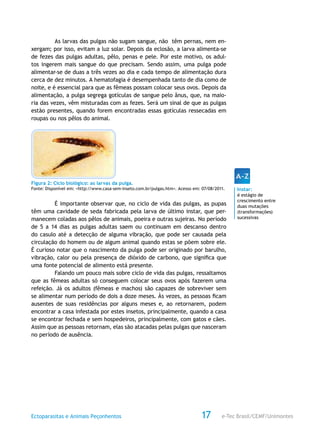e-Tec Brasil/CEMF/UnimontesEctoparasitas e Animais Peçonhentos 17
As larvas das pulgas não sugam sangue, não têm pernas, nem en-
xergam; por isso, evitam a luz solar. Depois da eclosão, a larva alimenta-se
de fezes das pulgas adultas, pêlo, penas e pele. Por este motivo, os adul-
tos ingerem mais sangue do que precisam. Sendo assim, uma pulga pode
alimentar-se de duas a três vezes ao dia e cada tempo de alimentação dura
cerca de dez minutos. A hematofagia é desempenhada tanto de dia como de
noite, e é essencial para que as fêmeas possam colocar seus ovos. Depois da
alimentação, a pulga segrega gotículas de sangue pelo ânus, que, na maio-
ria das vezes, vêm misturadas com as fezes. Será um sinal de que as pulgas
estão presentes, quando forem encontradas essas gotículas ressecadas em
roupas ou nos pêlos do animal.
Figura 2: Ciclo biológico: as larvas da pulga.
Fonte: Disponível em: <http://www.casa-sem-inseto.com.br/pulgas.htm>. Acesso em: 07/08/2011.
É importante observar que, no ciclo de vida das pulgas, as pupas
têm uma cavidade de seda fabricada pela larva de último instar, que per-
manecem coladas aos pêlos de animais, poeira e outras sujeiras. No período
de 5 a 14 dias as pulgas adultas saem ou continuam em descanso dentro
do casulo até a detecção de alguma vibração, que pode ser causada pela
circulação do homem ou de algum animal quando estas se põem sobre ele.
É curioso notar que o nascimento da pulga pode ser originado por barulho,
vibração, calor ou pela presença de dióxido de carbono, que significa que
uma fonte potencial de alimento está presente.
Falando um pouco mais sobre ciclo de vida das pulgas, ressaltamos
que as fêmeas adultas só conseguem colocar seus ovos após fazerem uma
refeição. Já os adultos (fêmeas e machos) são capazes de sobreviver sem
se alimentar num período de dois a doze meses. Às vezes, as pessoas ficam
ausentes de suas residências por alguns meses e, ao retornarem, podem
encontrar a casa infestada por estes insetos, principalmente, quando a casa
se encontrar fechada e sem hospedeiros, principalmente, com gatos e cães.
Assim que as pessoas retornam, elas são atacadas pelas pulgas que nasceram
no período de ausência.
Instar:
é estágio de
crescimento entre
duas mutações
(transformações)
sucessivas
 