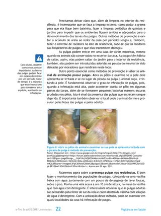 e-Tec Brasil/CEMF/Unimontes Vigilância em Saúde22
Precisamos deixar claro que, além da limpeza no interior da resi-
dência, é interessante que se faça a limpeza externa, como podar a grama
para que ela fique bem baixinha, fazer a limpeza periódica de quintais e
jardins para impedir que os ambientes fiquem úmidos e adequados para o
desenvolvimento das larvas das pulgas. Outros métodos de prevenção é evi-
tar o acúmulo de areia ao redor da casa por períodos longos e, também,
fazer o controle de roedores no lote da residência, sabe-se que os roedores
são hospedeiros de pulgas e que elas transmitem doenças.
As pulgas podem entrar em uma casa de várias maneiras, mesmo
quando os animais são conservados no exterior da casa. As pulgas têm hábito
de saltar, assim, elas podem saltar do jardim para o interior da residência,
também, elas podem ser introduzidas aderidas na pessoa ou mesmo ter sido
deixadas por moradores que residiram neste local.
Outro ponto essencial como métodos de prevenção é saber se ani-
mal de estimação possui pulgas. Abra os pêlos e examine se a pele dele
apresenta-se irritada e se no lugar da picada da pulga o animal coça, irrin-
tando a pele. É fundamental observar o grau de infestação de pulgas, pois,
quando a infestação está alta, pode acontecer queda de pêlo em algumas
partes do corpo, além de se formarem pequenas bolinhas marrons escuras
grudadas nos pêlos. Isto é sinal da presença das pulgas que excretam sangue
digerido. É importante também observar o local onde o animal dorme e pro-
curar pelas fezes das pulgas e pelos adultos.
Figura 8: Abrir os pêlos do animal e examinar se sua pele se apresenta irritada com
a picada da pulga é método de prevenção.
Fonte: Disponível em: <http://www.google.com.br/imgres?imgurl=http://i51.tinypic.com/
zxm92p.jpg&imgrefurl=http://forum.adestradoronline.com/showthread.php%3F10890-Consumo-
de-%25E1gua./page2&usg=__-2qW1XvjYsQ8O3kM6zxsrcMvT3A=&h=408&w=640&sz=28&hl=pt-
BR&start=303&zoom=1&tbnid=3Uba-qNVAxGm-M:&tbnh=87&tbnw=137&ei=IbNyTqOuDsmEtgeZ
mK2LBA&prev=/images%3Fq%3Dfoto%2Bde%2Bpulgas%2Bcom%2Bcontrole%26start%3D294%26hl%3D
pt-BR%26sa%3DN%26tbm%3Disch&itbs=1>. Acesso em 09 ago. 2011.
Falaremos agora sobre a presença pulgas nas residências. É bom
fazer o monitoramento das populações de pulgas, colocando-se uma vasilha
baixa com água juntamente com um pouco de detergente de lavar louças,
sobre o piso. Ponha uma vela acesa a uns 10 cm de altura, no meio da vasilha
que tem água com detergente. É interessante observar que as pulgas adultas
são seduzidas pela fonte de luz da vela e caem dentro da vasilha com solução
de água e detergente. Com a utilização deste método, pode-se examinar em
quais localidades da casa há infestação de pulgas.
Caro aluno, observe
como esse ponto é
importante. As larvas
das pulgas podem ficar
em estado dormente
por um período maior
de tempo; é a maneira
que esse inseto tem
para conservar esta
espécie, auxiliando na
infestação.
 