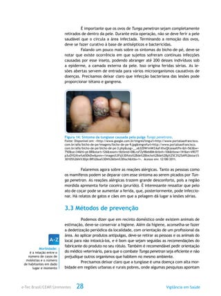 e-Tec Brasil/CEMF/Unimontes Vigilância em Saúde28
É importante que os ovos de Tunga penetran sejam completamente
retirados de dentro da pele. Durante esta operação, não se deve ferir a pele
saudável que o circula a área infectada. Terminando a remoção dos ovos,
deve se fazer curativo à base de antisépticos e bactericidas.
Falando um pouco mais sobre os sintomas do bicho-de–pé, deve-se
notar que existe ocorrência em que sujeitos sofreram contínuas infecções
causadas por esse inseto, podendo abranger até 200 desses indivíduos sob
a epiderme, a camada externa da pele. Isso origina feridas sérias. As le-
sões abertas servem de entrada para vários microorganismos causativos de
doenças. Precisamos deixar claro que infecção bacteriana das lesões pode
proporcionar tétano e gangrena.
Figura 14: Sintoma da tungíase causada pela pulga Tunga penetrans.
Fonte: Disponível em: <http://www.google.com.br/imgres?imgurl=http://www.portalsaofrancisco.
com.br/alfa/bicho-de-pe/imagens/bicho-de-pe-9.jpg&imgrefurl=http://www.portalsaofrancisco.
com.br/alfa/bicho-de-pe/bicho-de-pe-3.php&usg=__x632DW1mWZAaf-XhxQXzeaaItFk=&h=563&w=
750&sz=34&hl=pt-BR&start=126&zoom=1&tbnid=08LroFZy9BebBM:&tbnh=106&tbnw=141&ei=VRl7T
p3uOYGXtwfu65DkDw&prev=/images%3Fq%3Dfoto%2Bde%2Bbicho%2Bde%2Bp%25C3%25A9%26start%
3D105%26hl%3Dpt-BR%26sa%3DN%26tbm%3Disch&itbs=1>. Acesso em: 12/08/2011.
Falaremos agora sobre as reações alérgicas. Tanto as pessoas como
os mamíferos podem se deparar com esse sintoma ao serem picados por Tun-
ga penetran. As reações alérgicas trazem grande desconforto, pois a região
mordida apresenta forte coceira (prurido). É interessante ressaltar que pelo
ato de coçar pode se aumentar a ferida, que, posteriormente, pode infeccio-
nar. Há relatos de gatos e cães em que a pelagem dá lugar a lesões sérias.
3.3 Métodos de prevenção
Podemos dizer que em recinto doméstico onde existem animais de
estimação, deve-se conservar a higiene. Além da higiene, aconselha-se fazer
a dedetização periódica da localidade, com orientação de um profissional da
área. Ao aplicar produtos antipulgas, deve-se retirar as pessoas e os animais do
local para não intoxicá-los, e é bom que sejam seguidas as recomendações do
fabricante do produto no seu rótulo. Também é recomendável pedir orientação
do médico veterinário, para que o combate Tunga penetran seja eficiente e não
prejudique outros organismos que habitem no mesmo ambiente.
Precisamos deixar claro que a tungíase é uma doença com alta mor-
bidade em regiões urbanas e rurais pobres, onde algumas pesquisas apontam
Morbidade:
é a relação entre o
número de casos de
moléstias e o número
de habitantes em dado
lugar e momento
 