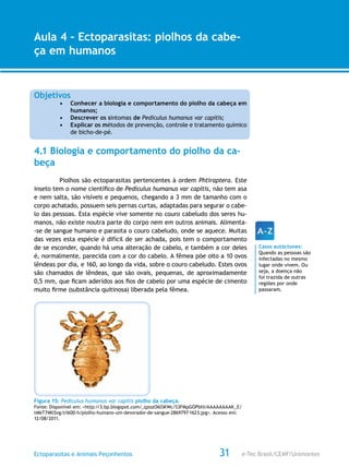 e-Tec Brasil/CEMF/UnimontesEctoparasitas e Animais Peçonhentos
AULA 1
Alfabetização Digital
31
Aula 4 – Ectoparasitas: piolhos da cabe-
ça em humanos
Objetivos
•	 Conhecer a biologia e comportamento do piolho da cabeça em
humanos;
•	 Descrever os sintomas de Pediculus humanus var capitis;
•	 Explicar os métodos de prevenção, controle e tratamento químico
de bicho-de-pé.
4.1 Biologia e comportamento do piolho da ca-
beça
Piolhos são ectoparasitas pertencentes à ordem Phtiraptera. Este
inseto tem o nome científico de Pediculus humanus var capitis, não tem asa
e nem salta, são visíveis e pequenos, chegando a 3 mm de tamanho com o
corpo achatado, possuem seis pernas curtas, adaptadas para segurar o cabe-
lo das pessoas. Esta espécie vive somente no couro cabeludo dos seres hu-
manos, não existe noutra parte do corpo nem em outros animais. Alimenta-
-se de sangue humano e parasita o couro cabeludo, onde se aquece. Muitas
das vezes esta espécie é difícil de ser achada, pois tem o comportamento
de se esconder, quando há uma alteração de cabelo, e também a cor deles
é, normalmente, parecida com a cor do cabelo. A fêmea põe oito a 10 ovos
lêndeas por dia, e 160, ao longo da vida, sobre o couro cabeludo. Estes ovos
são chamados de lêndeas, que são ovais, pequenas, de aproximadamente
0,5 mm, que ficam aderidos aos fios de cabelo por uma espécie de cimento
muito firme (substância quitinosa) liberada pela fêmea.
Figura 15: Pediculus humanus var capitis piolho da cabeça.
Fonte: Disponível em: <http://3.bp.blogspot.com/_qzozO6lSKWc/S3FMpGOPbhI/AAAAAAAAK_E/
tMkT74KlSvg/s1600-h/piolho-humano-um-devorador-de-sangue-2869797-1623.jpg>. Acesso em:
12/08/2011.
Casos autóctones:
Quando as pessoas são
infectadas no mesmo
lugar onde vivem. Ou
seja, a doença não
foi trazida de outras
regiões por onde
passaram.
 