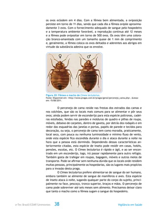 e-Tec Brasil/CEMF/Unimontes Vigilância em Saúde38
os ovos eclodem em 4 dias. Com a fêmea bem alimentada, a oviposição
persiste em torno de 11 dias, sendo que cada dia a fêmea ovipõe aproxima-
damente 3 ovos. Com o fornecimento adequado de sangue pelo hospedeiro
e a temperatura ambiente favorável, a reprodução continua até 12 meses
e a fêmea pode ovipositar em torno de 500 ovos. Os ovos têm uma colora-
ção branco-amarelada com um tamanho quase de 1 mm de comprimento
e, geralmente, a fêmea coloca os ovos deitados e aderentes aos abrigos em
virtude da substância adesiva que os envolve.
Figura 20: Fêmea e macho de Cimex lectularius.
Fonte: Disponível em: <http://www.pragas.com.br/pragas/geral/percevejo_cama.php>. Acesso
em: 15/08/2011.
O percevejo de cama reside nas frestas dos estrados das camas e
nos colchões, que são os locais mais comuns para se alimentar e pôr seus
ovos; ainda podem servir de esconderijo para esta espécie poltronas, cadei-
ras estofadas, fendas nas paredes e molduras de quadro e pilhas de roupa,
móveis, debaixo de carpetes, dentro de gaveta, por detrás dos rodapés e em
redor das esquadrias das janelas e portas, papéis de parede e tecidos para
decoração, ou seja, o percevejo de cama tem como moradia, praticamente,
local seco, com pouca ou nenhuma luminosidade e mínimo fluxo de vento,
onde esta espécie fica escondida durante o dia e ataca durante a noite na
hora que a pessoa está dormindo. Dependendo dessas características an-
teriormente citadas, esta espécie de inseto pode residir em casas, hotéis,
pensões, escolas, etc. O Cimex lectularius é rápido e ágil, e ao ser encon-
trado em um esconderijo, logo, irá passar rapidamente para outro refúgio.
Também gosta de trafegar em roupas, bagagem, móveis e outros meios de
transporte. Pode-se afirmar sem nenhuma dúvida que os locais onde residem
muitas pessoas, principalmente as hospedarias, são os lugares mais propícios
para a invasão desta praga.
O Cimex lectularius prefere alimentar-se de sangue do ser humano,
embora também se alimente de sangue de mamíferos e aves. Esta espécie
de inseto ataca à noite, sugando qualquer parte do corpo do sujeito, princi-
palmente na face, pescoço, tronco superior, braços e mãos. O percevejo de
cama pode sobreviver até seis meses sem alimento. Precisamos deixar claro
que tanto o macho como a fêmea sugam o sangue do hospedeiro.
 