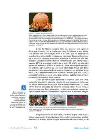 e-Tec Brasil/CEMF/Unimontes Vigilância em Saúde44
Figura 23: Ácaro do pó doméstico.
Fonte: Disponível em: <http://www.google.com.br/imgres?imgurl=http://i604.photobucket.com/
albums/tt122/atrasdamoita/carodomsticosdicasdecomoevita-los.jpg&imgrefurl=http://www.
atrasdamoita.com/acaros-domesticos-dicas-de-como-evita-los.html&usg=__aV3o-ylIUyObRVuATdA
DYwNxxTU=&h=443&w=434&sz=29&hl=pt-BR&start=41&zoom=1&tbnid=K4fRD3ZhYdPsOM:&tbnh=1
27&tbnw=124&ei=1iqUTv_9BaLZ0QHh5MjHBw&prev=/images%3Fq%3Dfoto%2Bde%2B%25C3%25A1car
o%2Bp%25C3%25B3%2Bda%2Bcasa%26start%3D21%26hl%3Dpt-BR%26sa%3DN%26tbm%3Disch&itbs=1>.
Acesso em: 16/08/2011.
O ciclo de vida dos ácaros do pó da casa acontece com o período
de desenvolvimento que se inicia com o ovo até chegar à fase adulta.
Esse período tem uma duração de 60 a 115 dias, que vai depender da
abundância na alimentação, temperatura e umidade do ambiente em que
ele se encontra; eles morrem quando a umidade fica abaixo de 40 a 50%.
Os ácaros se desenvolvem melhor nos climas tropicais com a temperatura
superior 20º C e a umidade relativa do ar entre 70 a 80%, ou seja, eles
gostam de ambientes quentes e úmidos e, ainda, esta espécie prospera
em ambiente com ausência ou com baixa intensidade de luz, com baixo
arejamento e com acumulação de poeiras. Portanto, em altitudes acima
de 1200 m, o desenvolvimento dos ácaros fica afetado, por esta razão, a
população humana que mora acima desta altitude pode ter mais alívio de
certas alergias oriundas desta espécie.
O ciclo de vida do ácaro apresenta as seguintes fases: ovo, larva,
protoninfa, deutoninfa, tritoninfa e adulto. Os ovos eclodem as ninfas, que
são formas semelhantes aos adultos, mas de tamanho bem menor. As ninfas
sofrem diversas alterações até atingirem o estágio adulto. A cada muda, o
ácaro troca de pele. Estas peles velhas circulam pelo ambiente e podem ser
aspiradas pelas pessoas caindo nas vias respiratórias e ocasionando alergias.
Figura 24: Ciclo de vida do ácaro predador Neoseiulus californicus.
Fonte: Disponível em: <http://www.agripoint.com.br/default.asp?actA=2&noticiaID=46275>.
Acesso em 16/08/2011.
A cópula acontece até duas vezes, e a fêmea ovipõe cerca de 30 a
50 ovos, dependendo da abundância na alimentação, temperatura e umidade
relativa do ar. A fêmea de ácaro ovipõe seus ovos em vários substratos, como
Caro estudante, há
diversas espécies de
ácaros encontradas nos
municípios brasileiros
e estas espécies
alteram de região
para região. Dentro do
mesmo município, esta
diversidade pode mudar
de uma casa para outra.
 