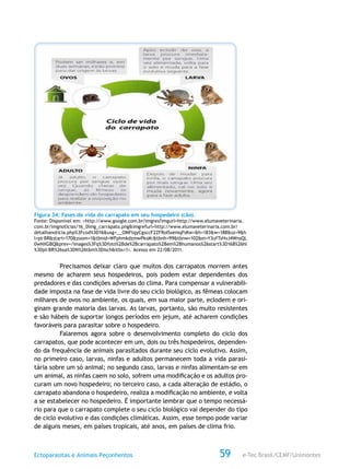 e-Tec Brasil/CEMF/UnimontesEctoparasitas e Animais Peçonhentos 59
Figura 34: Fases de vida do carrapato em seu hospedeiro (cão).
Fonte: Disponível em: <http://www.google.com.br/imgres?imgurl=http://www.elumaveterinaria.
com.br/imgnoticias/16_0img_carrapato.png&imgrefurl=http://www.elumaveterinaria.com.br/
detalhanoticia.php%3Fcod%3D16&usg=__OMFtqyCgsccF2ZFRoISsemqFsKw=&h=183&w=188&sz=9&h
l=pt-BR&start=170&zoom=1&tbnid=WFphmkdzmwPksM:&tbnh=99&tbnw=102&ei=Y3ufTsHvJ4WnsQL
0wNXGBQ&prev=/images%3Fq%3Dfoto%2Bde%2Bcarrapato%2Bem%2Bhumanos%26start%3D168%26hl
%3Dpt-BR%26sa%3DN%26tbm%3Disch&itbs=1>. Acesso em 22/08/2011.
Precisamos deixar claro que muitos dos carrapatos morrem antes
mesmo de acharem seus hospedeiros, pois podem estar dependentes dos
predadores e das condições adversas do clima. Para compensar a vulnerabili-
dade imposta na fase de vida livre do seu ciclo biológico, as fêmeas colocam
milhares de ovos no ambiente, os quais, em sua maior parte, eclodem e ori-
ginam grande maioria das larvas. As larvas, portanto, são muito resistentes
e são hábeis de suportar longos períodos em jejum, até acharem condições
favoráveis para parasitar sobre o hospedeiro.
Falaremos agora sobre o desenvolvimento completo do ciclo dos
carrapatos, que pode acontecer em um, dois ou três hospedeiros, dependen-
do da frequência de animais parasitados durante seu ciclo evolutivo. Assim,
no primeiro caso, larvas, ninfas e adultos permanecem toda a vida parasi-
tária sobre um só animal; no segundo caso, larvas e ninfas alimentam-se em
um animal, as ninfas caem no solo, sofrem uma modificação e os adultos pro-
curam um novo hospedeiro; no terceiro caso, a cada alteração de estádio, o
carrapato abandona o hospedeiro, realiza a modificação no ambiente, e volta
a se estabelecer no hospedeiro. É importante lembrar que o tempo necessá-
rio para que o carrapato complete o seu ciclo biológico vai depender do tipo
de ciclo evolutivo e das condições climáticas. Assim, esse tempo pode variar
de alguns meses, em países tropicais, até anos, em países de clima frio.
 