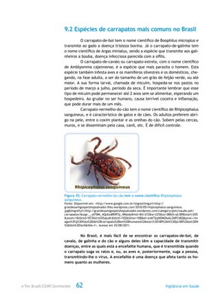 e-Tec Brasil/CEMF/Unimontes Vigilância em Saúde62
9.2 Espécies de carrapatos mais comuns no Brasil
O carrapato-de-boi tem o nome científico de Boophilus microplus e
transmite ao gado a doença tristeza bovina. Já o carrapato-de-galinha tem
o nome científico de Argas miniatus, sendo a espécie que transmite aos gali-
nheiros a bouba, doença infecciosa parecida com a sífilis.
O carrapato-de-cavalo ou carrapato-estrela, com o nome científico
de Amblyomma cajennense, é a espécie que mais parasita o homem. Esta
espécie também infesta aves e os mamíferos silvestres e os domésticos, che-
gando, na fase adulta, a ser do tamanho de um grão de feijão verde, ou até
maior. A sua forma larval, chamada de micuim, hospeda-se nos pastos no
período de março a julho, período da seca. É importante lembrar que esse
tipo de micuim pode permanecer até 2 anos sem se alimentar, esperando um
hospedeiro. Ao grudar no ser humano, causa terrível coceira e inflamação,
que pode durar mais de um mês.
Carrapato-vermelho-do-cão tem o nome científico de Rhipicephalus
sanguineus, e é característico de gatos e de cães. Os adultos preferem abri-
go na pele, entre o coxim plantar e as orelhas do cão. Sobem pelas cercas,
muros, e se disseminam pela casa, canil, etc. É de difícil controle.
Figura 35: Carrapato-vermelho-do-cão tem o nome científico Rhipicephalus
sanguineus.
Fonte: Disponível em: <http://www.google.com.br/imgres?imgurl=http://
grandesamigospetshopsalvador.files.wordpress.com/2010/05/rhipicephalus-sanguineus.
jpg&imgrefurl=http://grandesamigospetshopsalvador.wordpress.com/category/pets/saude-pet/
carrapatos/&usg=__otFBM_4QoGo8RiRTp_4K6zdyKmU=&h=212&w=225&sz=38&hl=pt-BR&start=205
&zoom=1&tbnid=VE7AUrmOiSqluM:&tbnh=102&tbnw=108&ei=zn6fTpjNDMOIsALZ6PCtBQ&prev=/im
ages%3Fq%3Dfoto%2Bde%2Bcarrapato%2Bem%2Bhumanos%26start%3D189%26hl%3Dpt-BR%26sa%3DN
%26tbm%3Disch&itbs=1>. Acesso em 25/08/2011.
No Brasil, é mais fácil de se encontrar os carrapatos-de-boi, de
cavalo, de galinha e do cão e alguns deles têm a capacidade de transmitir
doenças, entre as quais está a encefalite humana, que é transmitida quando
o carrapato suga os ratos e, ou, as aves e, posteriormente, suga a pessoa,
transmitindo-lhe o vírus. A encefalite é uma doença que afeta tanto os ho-
mens quanto as mulheres.
 