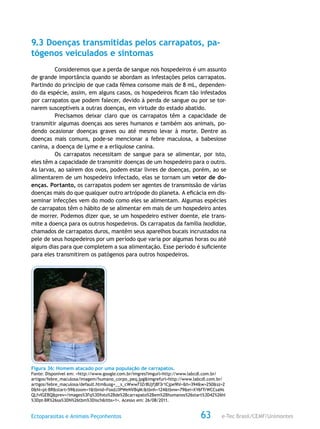 e-Tec Brasil/CEMF/UnimontesEctoparasitas e Animais Peçonhentos 63
9.3 Doenças transmitidas pelos carrapatos, pa-
tógenos veiculados e sintomas
Consideremos que a perda de sangue nos hospedeiros é um assunto
de grande importância quando se abordam as infestações pelos carrapatos.
Partindo do princípio de que cada fêmea consome mais de 8 mL, dependen-
do da espécie, assim, em alguns casos, os hospedeiros ficam tão infestados
por carrapatos que podem falecer, devido à perda de sangue ou por se tor-
narem susceptíveis a outras doenças, em virtude do estado abatido.
Precisamos deixar claro que os carrapatos têm a capacidade de
transmitir algumas doenças aos seres humanos e também aos animais, po-
dendo ocasionar doenças graves ou até mesmo levar à morte. Dentre as
doenças mais comuns, pode-se mencionar a febre maculosa, a babesiose
canina, a doença de Lyme e a erliquiose canina.
Os carrapatos necessitam de sangue para se alimentar, por isto,
eles têm a capacidade de transmitir doenças de um hospedeiro para o outro.
As larvas, ao saírem dos ovos, podem estar livres de doenças, porém, ao se
alimentarem de um hospedeiro infectado, elas se tornam um vetor de do-
enças. Portanto, os carrapatos podem ser agentes de transmissão de várias
doenças mais do que qualquer outro artrópode do planeta. A eficácia em dis-
seminar infecções vem do modo como eles se alimentam. Algumas espécies
de carrapatos têm o hábito de se alimentar em mais de um hospedeiro antes
de morrer. Podemos dizer que, se um hospedeiro estiver doente, ele trans-
mite a doença para os outros hospedeiros. Os carrapatos da família Ixodidae,
chamados de carrapatos duros, mantêm seus aparelhos bucais incrustados na
pele de seus hospedeiros por um período que varia por algumas horas ou até
alguns dias para que completem a sua alimentação. Esse período é suficiente
para eles transmitirem os patógenos para outros hospedeiros.
Figura 36: Homem atacado por uma população de carrapatos.
Fonte: Disponível em: <http://www.google.com.br/imgres?imgurl=http://www.labcdl.com.br/
artigos/febre_maculosa/imagem/humano_corpo_peq.jpg&imgrefurl=http://www.labcdl.com.br/
artigos/febre_maculosa/default.htm&usg=__s_cWww73Zr8Ujfj8f3r1Cjpe9hI=&h=394&w=250&sz=2
0&hl=pt-BR&start=59&zoom=1&tbnid=FoxdJ3PWeNVBqM:&tbnh=124&tbnw=79&ei=XY6fTrWCCsaNs
QLfvIGEBQ&prev=/images%3Fq%3Dfoto%2Bde%2Bcarrapato%2Bem%2Bhumanos%26start%3D42%26hl
%3Dpt-BR%26sa%3DN%26tbm%3Disch&itbs=1>. Acesso em: 26/08/2011.
 