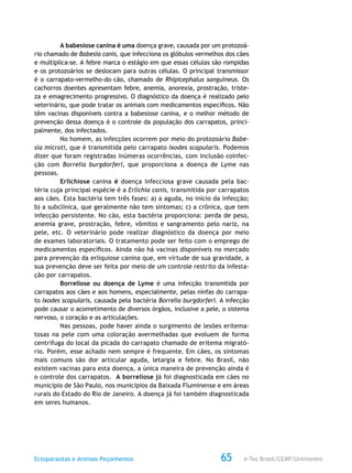 e-Tec Brasil/CEMF/UnimontesEctoparasitas e Animais Peçonhentos 65
A babesiose canina é uma doença grave, causada por um protozoá-
rio chamado de Babesia canis, que infecciona os glóbulos vermelhos dos cães
e multiplica-se. A febre marca o estágio em que essas células são rompidas
e os protozoários se deslocam para outras células. O principal transmissor
é o carrapato-vermelho-do–cão, chamado de Rhipicephalus sanguineus. Os
cachorros doentes apresentam febre, anemia, anorexia, prostração, triste-
za e emagrecimento progressivo. O diagnóstico da doença é realizado pelo
veterinário, que pode tratar os animais com medicamentos específicos. Não
têm vacinas disponíveis contra a babesiose canina, e o melhor método de
prevenção dessa doença é o controle da população dos carrapatos, princi-
palmente, dos infectados.
No homem, as infecções ocorrem por meio do protozoário Babe-
sia microti, que é transmitida pelo carrapato Ixodes scapularis. Podemos
dizer que foram registradas inúmeras ocorrências, com inclusão coinfec-
ção com Borrelia burgdorferi, que proporciona a doença de Lyme nas
pessoas.
Erlichiose canina é doença infecciosa grave causada pela bac-
téria cuja principal espécie é a Erlichia canis, transmitida por carrapatos
aos cães. Esta bactéria tem três fases: a) a aguda, no início da infecção;
b) a subclínica, que geralmente não tem sintomas; c) a crônica, que tem
infecção persistente. No cão, esta bactéria proporciona: perda de peso,
anemia grave, prostração, febre, vômitos e sangramento pelo nariz, na
pele, etc. O veterinário pode realizar diagnóstico da doença por meio
de exames laboratoriais. O tratamento pode ser feito com o emprego de
medicamentos específicos. Ainda não há vacinas disponíveis no mercado
para prevenção da erliquiose canina que, em virtude de sua gravidade, a
sua prevenção deve ser feita por meio de um controle restrito da infesta-
ção por carrapatos.
Borreliose ou doença de Lyme é uma infecção transmitida por
carrapatos aos cães e aos homens, especialmente, pelas ninfas do carrapa-
to Ixodes scapularis, causada pela bactéria Borrelia burgdorferi. A infecção
pode causar o acometimento de diversos órgãos, inclusive a pele, o sistema
nervoso, o coração e as articulações.
Nas pessoas, pode haver ainda o surgimento de lesões eritema-
tosas na pele com uma coloração avermelhadas que evoluem de forma
centrífuga do local da picada do carrapato chamado de eritema migrató-
rio. Porém, esse achado nem sempre é frequente. Em cães, os sintomas
mais comuns são dor articular aguda, letargia e febre. No Brasil, não
existem vacinas para esta doença, a única maneira de prevenção ainda é
o controle dos carrapatos. A borreliose já foi diagnosticada em cães no
município de São Paulo, nos municípios da Baixada Fluminense e em áreas
rurais do Estado do Rio de Janeiro. A doença já foi também diagnosticada
em seres humanos.
 