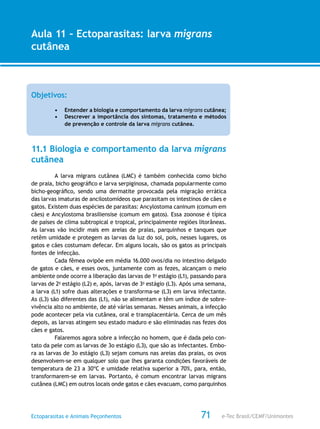 e-Tec Brasil/CEMF/UnimontesEctoparasitas e Animais Peçonhentos
AULA 1
Alfabetização Digital
71
Aula 11 – Ectoparasitas: larva migrans
cutânea
Objetivos:
•	 Entender a biologia e comportamento da larva migrans cutânea;
•	 Descrever a importância dos sintomas, tratamento e métodos
de prevenção e controle da larva migrans cutânea.
11.1 Biologia e comportamento da larva migrans
cutânea
A larva migrans cutânea (LMC) é também conhecida como bicho
de praia, bicho geográfico e larva serpiginosa, chamada popularmente como
bicho-geográfico, sendo uma dermatite provocada pela migração errática
das larvas imaturas de ancilostomídeos que parasitam os intestinos de cães e
gatos. Existem duas espécies de parasitas: Ancylostoma caninum (comum em
cães) e Ancylostoma brasiliensise (comum em gatos). Essa zoonose é típica
de países de clima subtropical e tropical, principalmente regiões litorâneas.
As larvas vão incidir mais em areias de praias, parquinhos e tanques que
retêm umidade e protegem as larvas da luz do sol, pois, nesses lugares, os
gatos e cães costumam defecar. Em alguns locais, são os gatos as principais
fontes de infecção.
Cada fêmea ovipõe em média 16.000 ovos/dia no intestino delgado
de gatos e cães, e esses ovos, juntamente com as fezes, alcançam o meio
ambiente onde ocorre a liberação das larvas de 1o
estágio (L1), passando para
larvas de 2o
estágio (L2) e, após, larvas de 3o
estágio (L3). Após uma semana,
a larva (L1) sofre duas alterações e transforma-se (L3) em larva infectante.
As (L3) são diferentes das (L1), não se alimentam e têm um índice de sobre-
vivência alto no ambiente, de até várias semanas. Nesses animais, a infecção
pode acontecer pela via cutânea, oral e transplacentária. Cerca de um mês
depois, as larvas atingem seu estado maduro e são eliminadas nas fezes dos
cães e gatos.
Falaremos agora sobre a infecção no homem, que é dada pelo con-
tato da pele com as larvas de 3o estágio (L3), que são as infectantes. Embo-
ra as larvas de 3o estágio (L3) sejam comuns nas areias das praias, os ovos
desenvolvem-se em qualquer solo que lhes garanta condições favoráveis de
temperatura de 23 a 30ºC e umidade relativa superior a 70%, para, então,
transformarem-se em larvas. Portanto, é comum encontrar larvas migrans
cutânea (LMC) em outros locais onde gatos e cães evacuam, como parquinhos
 