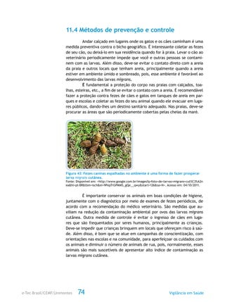 e-Tec Brasil/CEMF/Unimontes Vigilância em Saúde74
11.4 Métodos de prevenção e controle
Andar calçado em lugares onde os gatos e os cães caminham é uma
medida preventiva contra o bicho geográfico. É interessante coletar as fezes
de seu cão, ou deixá-lo em sua residência quando for à praia. Levar o cão ao
veterinário periodicamente impede que você e outras pessoas se contami-
nem com as larvas. Além disso, deve-se evitar o contato direto com a areia
da praia e outros locais que tenham areia, principalmente quando a areia
estiver em ambiente úmido e sombreado, pois, esse ambiente é favorável ao
desenvolvimento das larvas migrans.
É fundamental a proteção do corpo nas praias com calçados, toa-
lhas, esteiras, etc., a fim de se evitar o contato com a areia. É recomendável
fazer a proteção contra fezes de cães e gatos em tanques de areia em par-
ques e escolas e coletar as fezes do seu animal quando ele evacuar em luga-
res públicos, dando-lhes um destino sanitário adequado. Nas praias, deve-se
procurar as áreas que são periodicamente cobertas pelas cheias da maré.
Figura 43: Fezes caninas espalhadas no ambiente é uma forma de fazer prosperar
larva migrans cutânea.
Fonte: Disponível em: <http://www.google.com.br/images?q=foto+de+larvas+migrans+cut%C3%A2n
ea&hl=pt-BR&tbm=isch&ei=9PepTrGPMMS_gQe__qwy&start=126&sa=N>. Acesso em: 04/10/2011.
É importante conservar os animais em boas condições de higiene,
juntamente com o diagnóstico por meio de exames de fezes periódicos, de
acordo com a recomendação do médico veterinário. São medidas que au-
xiliam na redução da contaminação ambiental por ovos das larvas migrans
cutânea. Outra medida de controle é evitar o ingresso de cães em luga-
res que são frequentados por seres humanos, principalmente as crianças.
Deve-se impedir que crianças brinquem em locais que ofereçam risco à saú-
de. Além disso, é bom que se atue em campanhas de conscientização, com
orientações nas escolas e na comunidade, para aperfeiçoar os cuidados com
os animais e diminuir o número de animais de rua, pois, normalmente, esses
animais são mais suscetíveis de apresentar alto índice de contaminação as
larvas migrans cutânea.
 