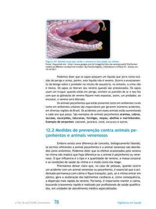 e-Tec Brasil/CEMF/Unimontes Vigilância em Saúde78
Figura 44: Dentes ocos por onde o veneno é inoculado na vítima.
Fonte: Disponível em: <http://www.google.com.br/images?q=foto+de+animais+pe%C3%A7onhen
tos&hl=pt-BR&tbm=isch&prmd=ivns&ei=-8yrTszhGonfgQf4u_XXDw&start=147&sa=N>. Acesso em
14/10/2011.
Podemos dizer que os sapos possuem um líquido que jorra numa oca-
sião de perigo e stress, porém, este líquido não é veneno. Ocorre o esvaziamen-
to da bexiga sobre o predador no intuito de assustá-lo, no entanto, a urina não
é tóxica. Os sapos só liberam seu veneno quando são pressionados. Os sapos
usam um truque: quando estão em perigo, enchem os pulmões de ar e isso faz
com que as glândulas de veneno fiquem mais expostas, assim, um predador, ao
encostar, o veneno será liberado.
Os animais peçonhentos que estão presentes tanto em ambientes rurais
como em ambientes urbanos são responsáveis por gerarem inúmeros acidentes,
em diversas regiões do Brasil. Os acidentes com esses animais estão aumentando
a cada ano que passa. São exemplos de animais peçonhentos aranhas, cobras,
lacraias, escorpiões, taturanas, formigas, vespas, abelhas e marimbondos.
Exemplo de serpentes: cascavel, jararaca, coral, surucucu e outras.
12.2 Medidas de prevenção contra animais pe-
çonhentos e animais venenosos
Embora exista uma diferença de conceito, biologicamente falando,
os termos referentes a animal peçonhento e a animal venenoso são aborda-
dos como sinônimos. Podemos dizer que os efeitos ocasionados pelo veneno
na vítima não implica que haja diferença se o animal é peçonhento ou vene-
noso. O que influencia é o tipo e a quantidade de veneno, a massa corporal
e as condições de saúde da vítima e o modo como ela reage.
Precisamos deixar claro que, no caso de pessoas, quando ocorre
um acidente com um animal venenoso ou peçonhento, é essencial que o aci-
dentado permaneça com calma e fique tranquilo, pois, se a vítima entrar em
pânico, gera a aceleração dos batimentos cardíacos e, como consequência,
a dispersão mais rápida do veneno. Portanto, é importante manter a calma,
buscando tratamento rápido e realizado por profissionais de saúde qualifica-
dos, em unidades de atendimento médico especializadas.
 