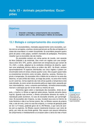 e-Tec Brasil/CEMF/UnimontesEctoparasitas e Animais Peçonhentos
AULA 1
Alfabetização Digital
81
Aula 13 – Animais peçonhentos: Escor-
piões
Objetivos:
•	 Entender a biologia e comportamento dos escorpiões;
•	 Explicar sobre a vida, alimentação e hábitos do escorpião.
13.1 Biologia e comportamento dos escorpiões
Os escorpionídeos, chamados popularmente como escorpiões, jun-
tos com os carrapatos, aranhas e ácaros pertencem ao filo dos artrópodes e à
classe dos aracnídeos e à ordem Scorpionida. Os aracnídeos possuem quatro
pares de patas e dois palpos, também chamados de pedipalpos. Precisamos
ressaltar que os escorpiões não são insetos.
Os escorpiões existem em várias partes do mundo, com exceção
da Nova Zelândia e da Antártida. Eles vivem em regiões com uma tempe-
ratura entre 20 e 37o
C, porém, sobrevivem em temperaturas que variam de
14 a 56o
C, e ainda, adaptam-se às condições climáticas do deserto, supor-
tam uma amplitude térmica diária na ordem dos 40o
C. No Brasil, existem
aproximadamente 75 espécies distribuídas nas cinco regiões e podem ser
encontrados tanto em áreas urbanas quanto rurais. Eles ocupam quase todos
os ecossistemas terrestres como cerrados, desertos, savanas, florestas tro-
picais e temperadas. Os escorpiões têm o hábito de se enterrar na areia dos
desertos, no solo úmido das matas, ao longo das praias, na zona entre marés
ou em cavernas. Certas espécies são mais ativas quando a temperatura está
mais elevada. As cores variam do amarelo-palha ao negro total, passando por
tons intermediários, como o amarelo-avermelhado, vermelho-amarronzado,
marrom e coloração que de vai de verde ou mesmo de azul.
Falaremos agora sobre a reprodução dos escorpiões. Antes da có-
pula, o macho e a fêmea se agarram pelas pinças, fazendo estranha dança
nupcial. Quando tudo termina, a fêmea comumente alimenta do macho. A
reprodução pode acontecer, no caso do escorpião amarelo, por partenogê-
nese. Os escorpiões são vivíparos, ou seja, incubam seus ovos no interior do
trato feminino e dão à luz formas jovens. Daí, os filhotes nascem da própria
mãe, e não de ovos, como no caso dos ovíparos, e o tempo de gestação pode
ser de 3 a 9 meses, podendo gerar de 6 a 90 filhotes, o que varia de acor-
do com as espécies. Os filhotes nascem totalmente brancos e por meio de
parto, por meio de uma fenda genital. Eles nascem com poucos milímetros
de comprimento e imediatamente se arrastam sobre o dorso da mãe e ficam
Partenogênese:
é quando ovo se
desenvolve sem
a precisão de ser
fecundado por um
espermatozóide.
 