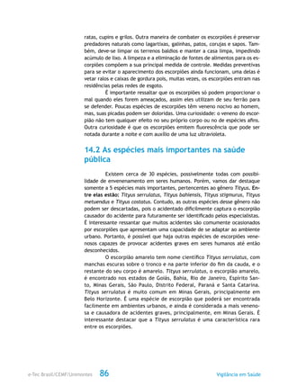 e-Tec Brasil/CEMF/Unimontes Vigilância em Saúde86
ratas, cupins e grilos. Outra maneira de combater os escorpiões é preservar
predadores naturais como lagartixas, galinhas, patos, corujas e sapos. Tam-
bém, deve-se limpar os terrenos baldios e manter a casa limpa, impedindo
acúmulo de lixo. A limpeza e a eliminação de fontes de alimentos para os es-
corpiões compõem a sua principal medida de controle. Medidas preventivas
para se evitar o aparecimento dos escorpiões ainda funcionam, uma delas é
vetar ralos e caixas de gordura pois, muitas vezes, os escorpiões entram nas
residências pelas redes de esgoto.
É importante ressaltar que os escorpiões só podem proporcionar o
mal quando eles forem ameaçados, assim eles utilizam de seu ferrão para
se defender. Poucas espécies de escorpiões têm veneno nocivo ao homem,
mas, suas picadas podem ser doloridas. Uma curiosidade: o veneno do escor-
pião não tem qualquer efeito no seu próprio corpo ou no de espécies afins.
Outra curiosidade é que os escorpiões emitem fluorescência que pode ser
notada durante a noite e com auxílio de uma luz ultravioleta.
14.2 As espécies mais importantes na saúde
pública
Existem cerca de 30 espécies, possivelmente todas com possibi-
lidade de envenenamento em seres humanos. Porém, vamos dar destaque
somente a 5 espécies mais importantes, pertencentes ao gênero Tityus. En-
tre elas estão: Tityus serrulatus, Tityus bahiensis, Tityus stigmurus, Tityus
metuendus e Tityus costatus. Contudo, as outras espécies desse gênero não
podem ser descartadas, pois o acidentado dificilmente captura o escorpião
causador do acidente para futuramente ser identificado pelos especialistas.
É interessante ressantar que muitos acidentes são comumente ocasionados
por escorpiões que apresentam uma capacidade de se adaptar ao ambiente
urbano. Portanto, é possível que haja outras espécies de escorpiões vene-
nosos capazes de provocar acidentes graves em seres humanos até então
desconhecidos.
O escorpião amarelo tem nome científico Tityus serrulatus, com
manchas escuras sobre o tronco e na parte inferior do fim da cauda, e o
restante do seu corpo é amarelo. Tityus serrulatus, o escorpião amarelo,
é encontrado nos estados de Goiás, Bahia, Rio de Janeiro, Espírito San-
to, Minas Gerais, São Paulo, Distrito Federal, Paraná e Santa Catarina.
Tityus serrulatus é muito comum em Minas Gerais, principalmente em
Belo Horizonte. É uma espécie de escorpião que poderá ser encontrada
facilmente em ambientes urbanos, e ainda é considerada a mais veneno-
sa e causadora de acidentes graves, principalmente, em Minas Gerais. É
interessante destacar que a Tityus serrulatus é uma característica rara
entre os escorpiões.
 